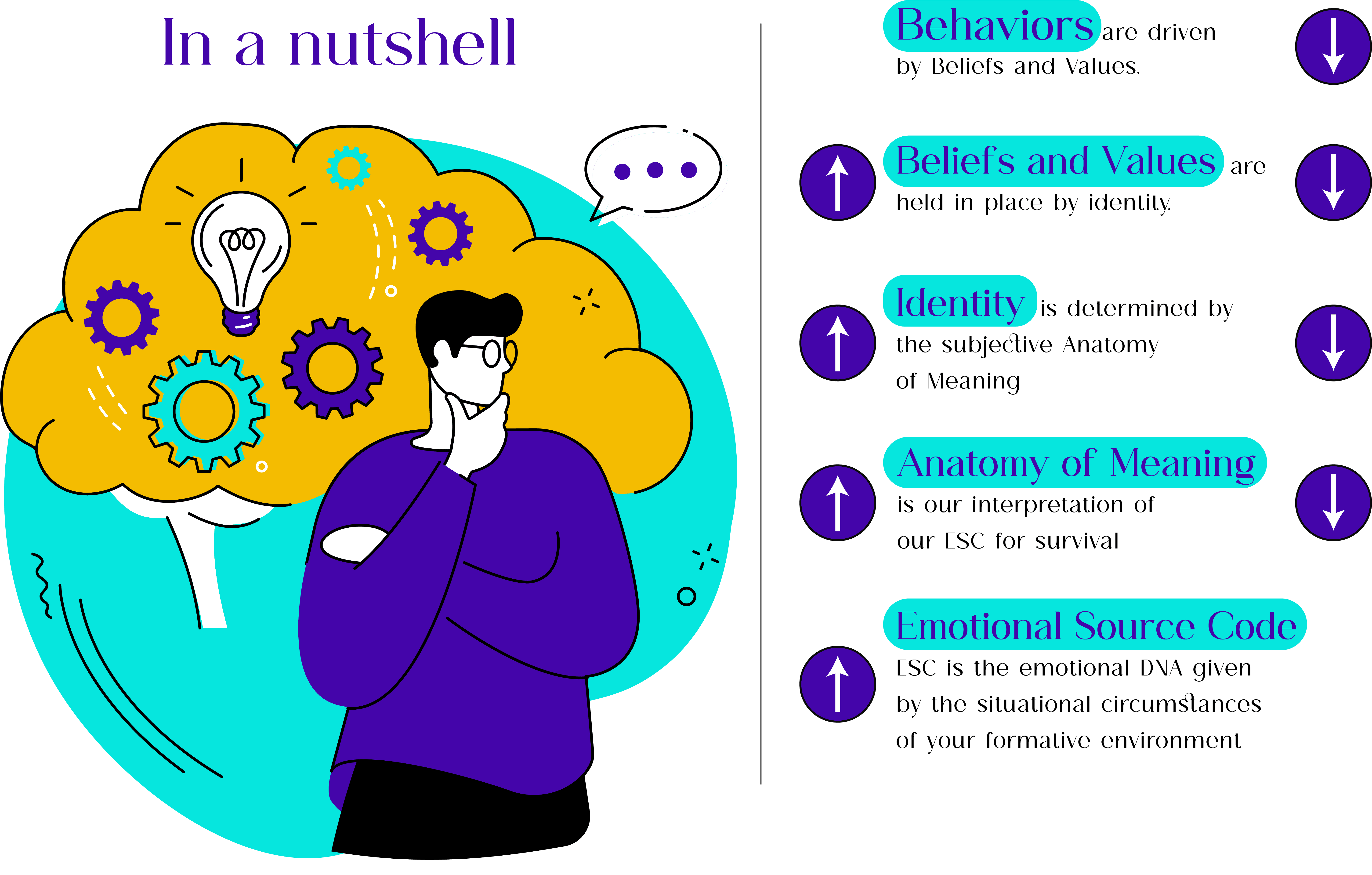 Emotional Source Code Graphic - Corporate Culture - Culture of Belonging
